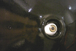 Illustration for article titled Opto-Isolator: An Arty Eye That Really Does Follow You Around the Room